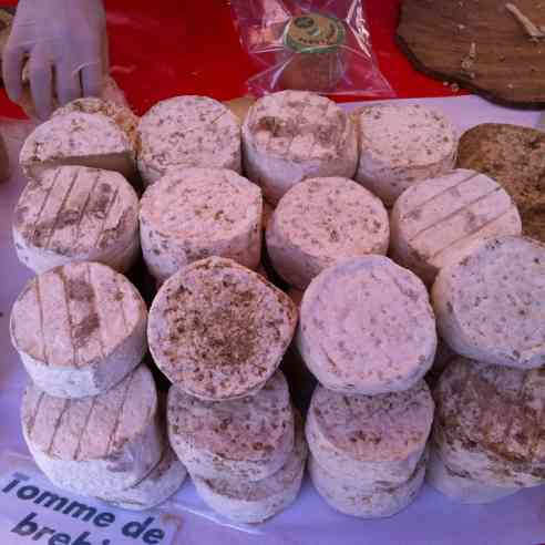 Tomme de Brebis, at the open air market in Ajaccio, birthplace of Napoleon