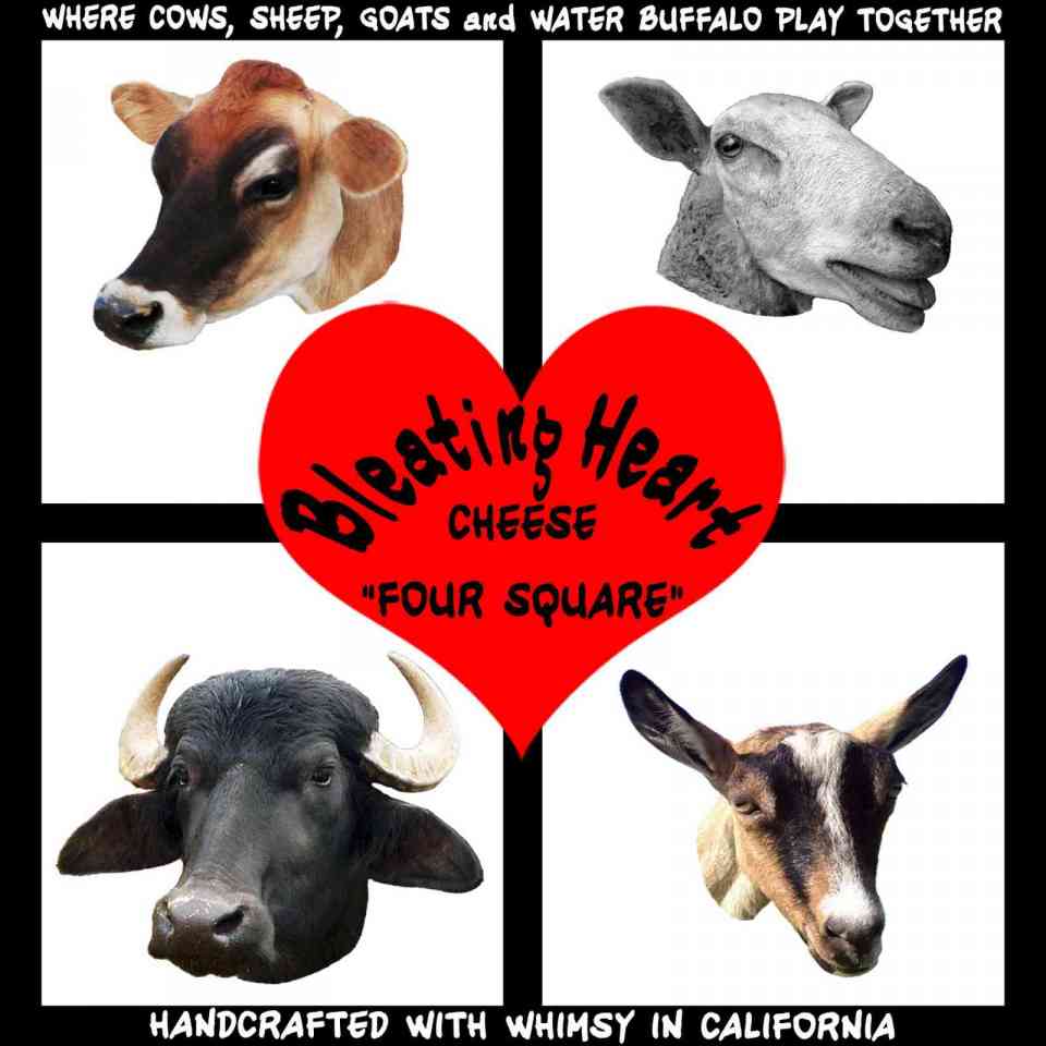 Bleating Heart Four Square mixed milk cheese logo - cow, sheep, goat, water buffalo