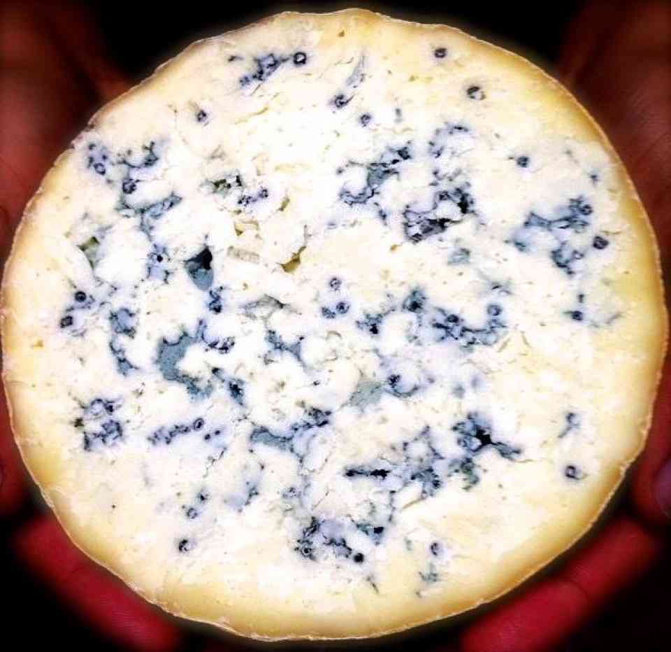 Double Down Blue from Bleating Heart Cheese