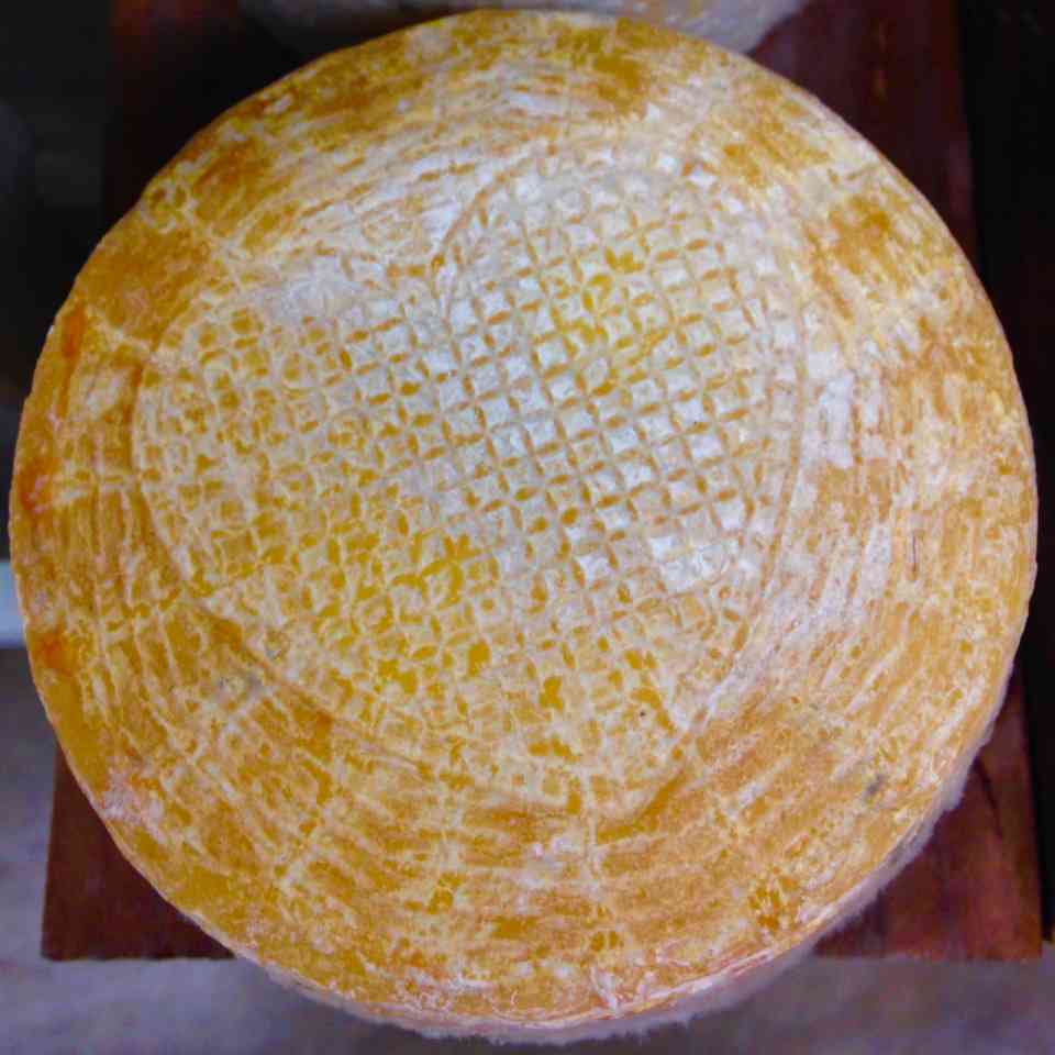 Goldette Tommette cheese from Bleating Heart 