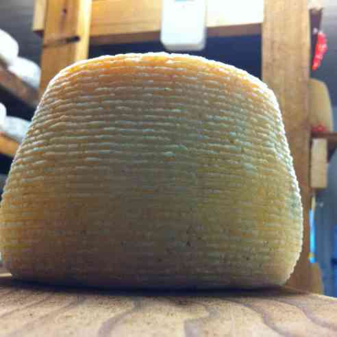 this wheel Fat Bottom Girl cheese is about a month old and is starting to get a nice color