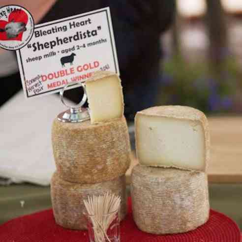 Shephedista cheese being served at the Sonoma County Harvest Fair